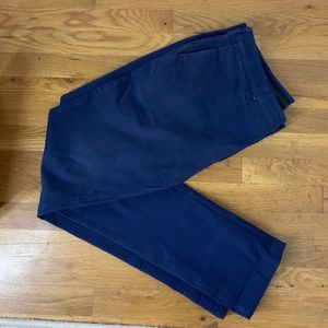 Frank and Oak Blue Commuter Pants
